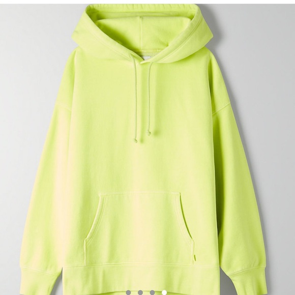 Aritzia Boyfriend Hoodie - Picture 1 of 6